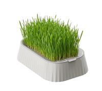 Cultivador hidropónico para gato | Bandeja compacta de 2 niveles con fondo antideslizante | Kit de cultivo de gatos - Para familia, amigos, mascotas, casa, interior, exterior, piso de cocina, alféizar