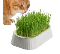 Cultivador hidropónico para gato, bandeja de 2 niveles reutilizable con base antideslizante, maceta para cultivo de gatos | Para animales domésticos en casa, interior y exterior, parte superior de