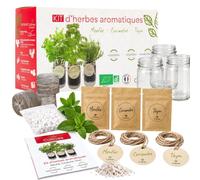 CULTIVEA® Kit Hierbas Aromáticas Interior Bio - Menta, Cilantro y Tomillo para Cultivar - Mini Huerto Interior con Botes de Vidrio - Kit Plantas Aromáticas - Idea de Regalo