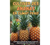 Cultiver des ananas en climat frais: Comment cultiver des fruits tropicaux dans les pays non tropicaux