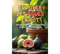 Cultiver des figues en pot: Un guide étape par étape pour réussir la culture des figues à la maison