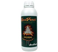 CULTIVERS BoostPunch 1 L Potenciador y estimulador de floración y aumento de la cosecha. Favorecer el engorde y maduración de los cogollos