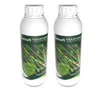 CULTIVERS Cola de Caballo Plantas Ecológico 2x1L | Extracto Vegetal para el Cuidado de Plantas | Uso en Jardinería | Refuerzo del Mantenimiento Vegetal