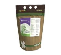 CULTIVERS Tierra de Diatomeas Molida 1 kg Ecológica Natural Certificada ECOCERT de Algas Fosilizadas Sedimentadas con Alta Pureza de Sílice Materia Prima Mineral Molienda.