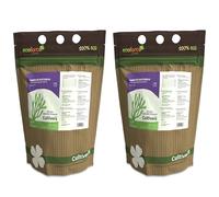 CULTIVERS Tierra de Diatomeas Molida Ecológica 2x1 kg | Materia Prima Mineral de Algas fosilizadas Molienda | Polvo no calcinado | Producto Certificado por Ecocert