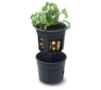 Cultivo de patatas Productor de patatas Macetas Jardín Terraza 40cm