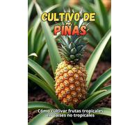 Cultivo de piñas: Cómo cultivar frutas tropicales en países no tropicales