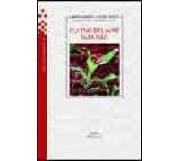 Cultivo Del Maiz Para Silo