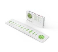 Cultivos de yogur - 12 Bolsitas de cultivo liofilizado para preparar Rhamnosus y Gasseri-yogur (Paquete de 12 bolsitas)