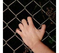 Culture Abuse - The Day Dreams Of Nothing [Vinilo]