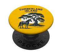 Cumberland Island Georgia Puesta de Sol PopSockets PopGrip Adhesivo