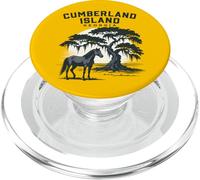 Cumberland Island Georgia Puesta de Sol PopSockets PopGrip para MagSafe