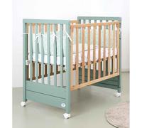 Cunas Evolutivas Cuoricini Avant Cuoricini