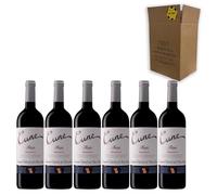 Cune Reserva - Ideal para Maridar con Carne y Comida Mediterránea - Pack 6 Botellas 75cl