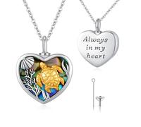 CUOKA MIRACLE Collar de urna de plata de ley 925 para cenizas de cenizas de mascotas, cremación de joyas, colgantes, urna de cenizas (urna de tortuga 04)