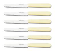 CUPERINOX Cuchillos Mesa, cuchillo carne, cuchillo mantequilla, Set 6 piezas, acero inoxidable, hoja con filo y sierra, cuchillo untar. Apto lavavajillas. Mango ergonomico