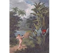 Cupido inspirando a las plantas al amor. Ilustración en el templo de la flora o jardín del poeta botánico pintor y filósofo publicado por Robert John Thornton. Después de un grabado de 1827 de