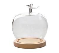 Cúpula de - Fruit Shape Desktop Decoration Cloche, Preserved Flower Display Cover, Clear Transparent Showcase Case, Elegant Decorative Accent Piece | Elegante solución de presentación para