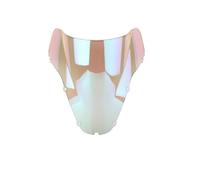 Cúpula/Parabrisas para Motocicleta para para CBR929RR para CBR900RR para CBR 900 929 RR (Modelos 2000 Y 2001) Deflector De Viento Parabrisas para Motocicleta(iridio Blanco)