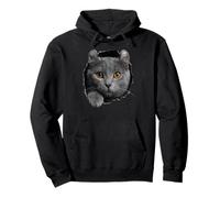 Curioso Gato Americano Que se asoma Sudadera con Capucha
