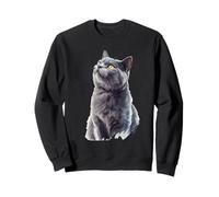 Curioso Gato británico de Pelo Corto Gris Arte felino Sudadera