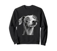 Curioso Perro Whippet Bosquejo Arte Mascota Amante Canino Sudadera