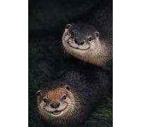 Curious Otters Notebook: Cute Wildlife Journal | Lined Notebook for Notes, Ideas and Everyday Use
