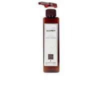 Saryna Key - Liquid Glaze Cuidado capilar 300 ml unisex