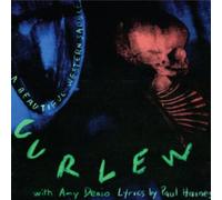 Curlew - Beautiful Western Saddle/the Hard Ood