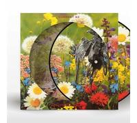 Current 93 - Swastikas For Noddy (Pic Disc) [Vinilo]