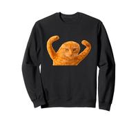 Cursed Cat Meme Dank Meme Cursed Angry Weird Cat Meme Sudadera
