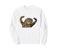 Cursed Cat Meme Dank Meme Cursed Angry Weird Cat Meme Sudadera