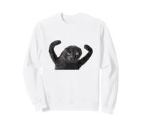 Cursed Cat Meme Dank Meme Cursed Angry Weird Cat Meme Sudadera