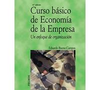 Curso básico de Economía de la Empresa: Un enfoque de organización (Economía y Empresa)