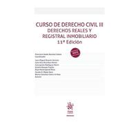 Curso de Derecho Civil III Derechos Reales y Registral Inmobiliario 11ª Edición (Manuales de Derecho Civil y Mercantil)