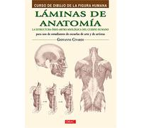 Láminas De Anatomía: Curso De Dibujo De La Figura Humana