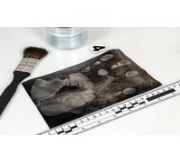 Curso online de criminología y elaboración de perfiles