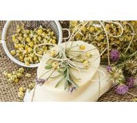 Curso online de hierbas medicinales y medicina alternativa de 150 horas