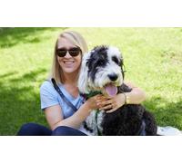 Curso online de terapia asistida con animales