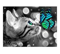 CURTEK 45x60cm Grande Diamond Painting Kit Completo Mariposa Gato Pintura Diamante Punto de Cruz Kit Completo Diamond Painting Mariposa Gato Cuadros Para Pintar por Numeros 45x60cm Z-2306