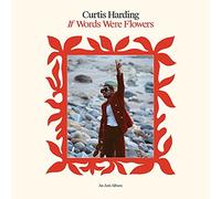 Curtis Harding - If Words Were Flowers