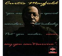 Curtis Mayfield - Never Say You Can't Survive