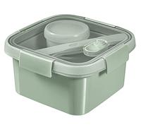 CURVER 249947 Storage Box, Plastic