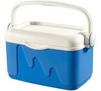 Curver nevera portátil con asa, ideal para camping, playa, picnic, ca