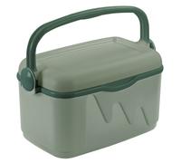 Curver Refrigerador 10L 42,8x23x26,5cm Verde