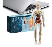 Cushangty Modelo de Anatomía Humana - Kit Científico 3D Del Cuerpo Humano Con Esqueleto Juguetes Educativos,Material Educativo de Fisiología para Escuela Hogar Biblioteca Maestros Niños Niñas