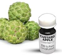 Custard Apple Essential Oil / 100% Pure Custard Apple Undiluted Essential Oil Premium Quality (250 ML, NATURAL)