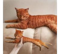 Custom System Almohada fea para mascotas, perro feo caliente, almohada de gato feo, almohada corporal para mascotas, almohada divertida para mascotas, almohada mala, almohada linda para perro/gato,