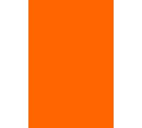 Customizable and discreet password book: 110 pages orange , 12 logins per letter, with a page to encrypt your passwords at the end.