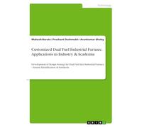 Customized Dual Fuel Industrial Furnace. Applications in Industry & Academia: Development of Design Strategy for Dual Fuel fired Industrial Furnace - System Identification & Synthesis